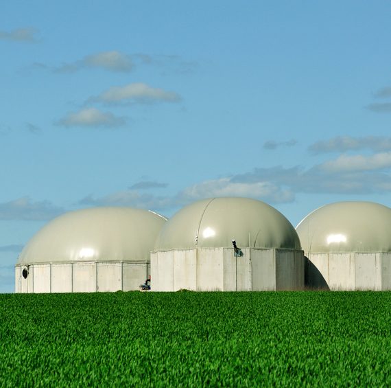 Three BioGas tanks.